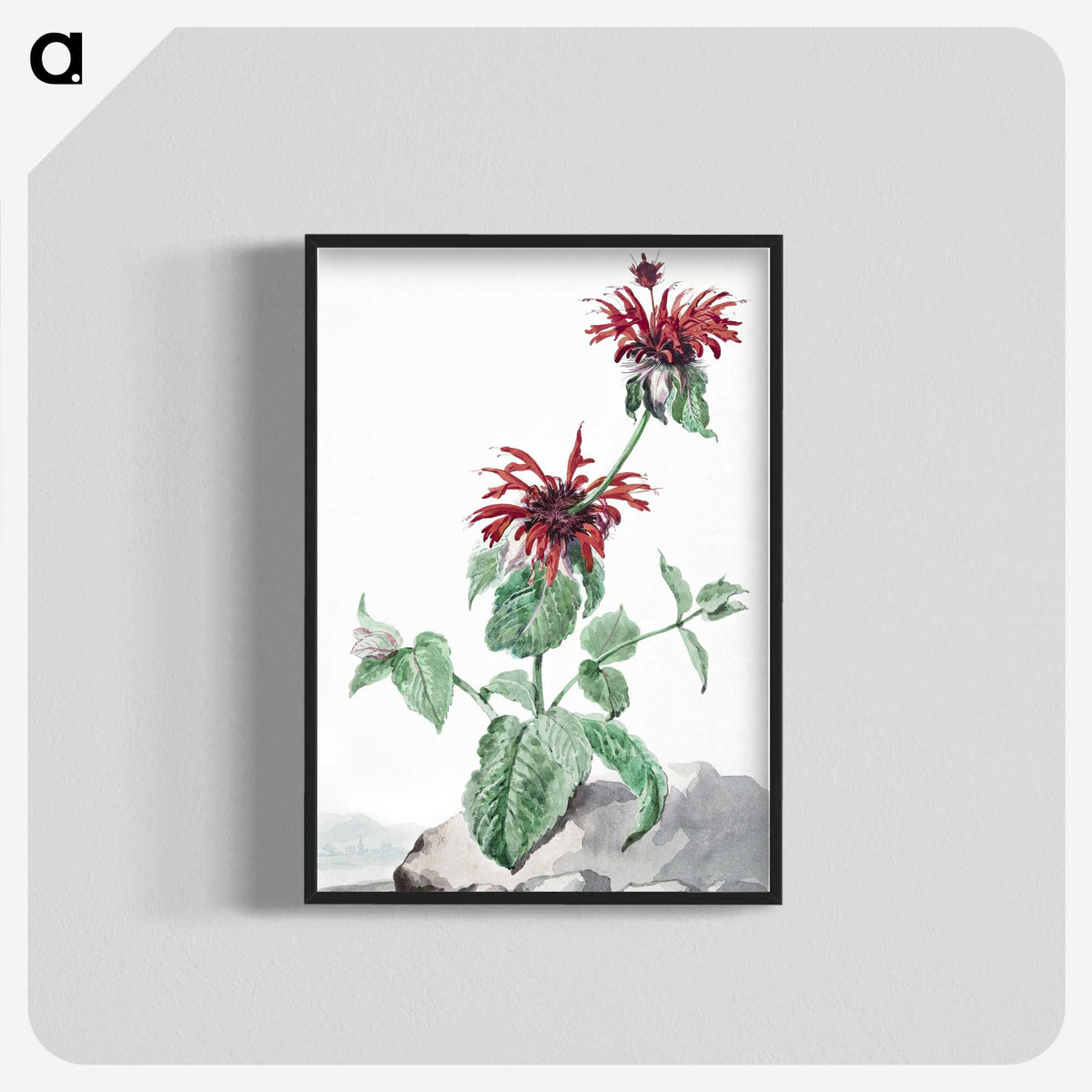 1-39_Aert-Schouman_blk-crop