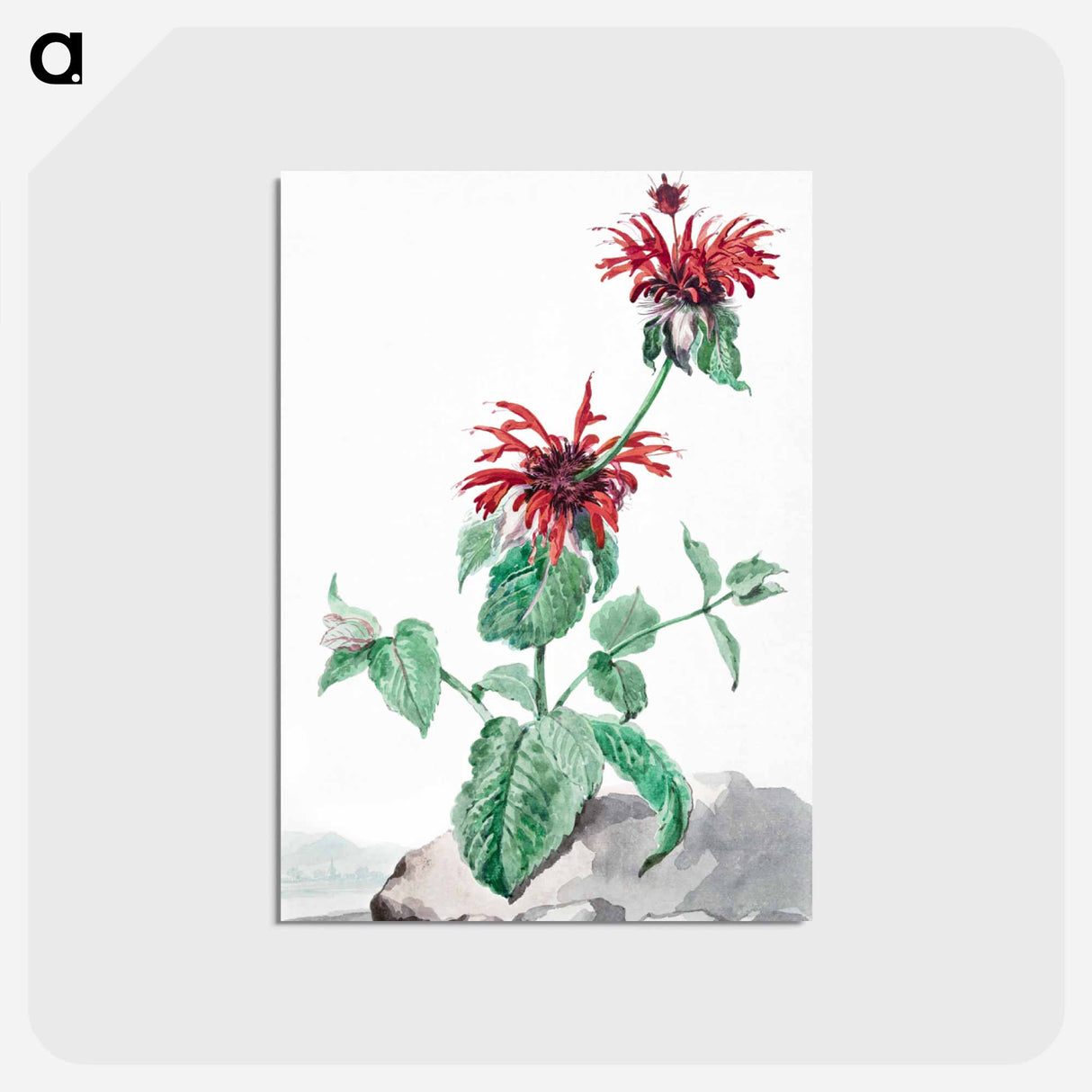 1-39_Aert-Schouman_postcard