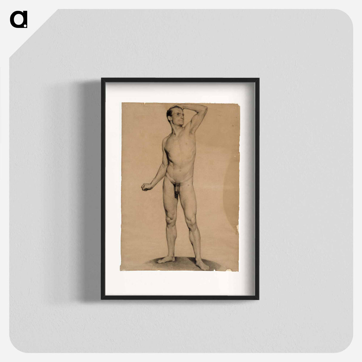 Nude male model, academy study - アルバート エーデルフェルト Poster.