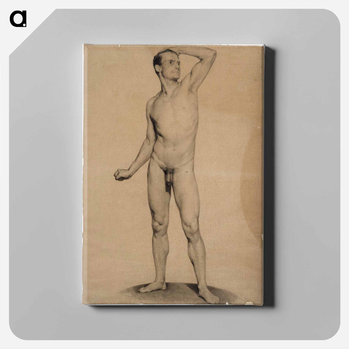 Nude male model, academy study - アルバート エーデルフェルト Canvas.