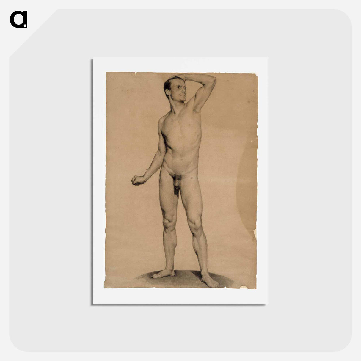 Nude male model, academy study - アルバート エーデルフェルト Postcard.