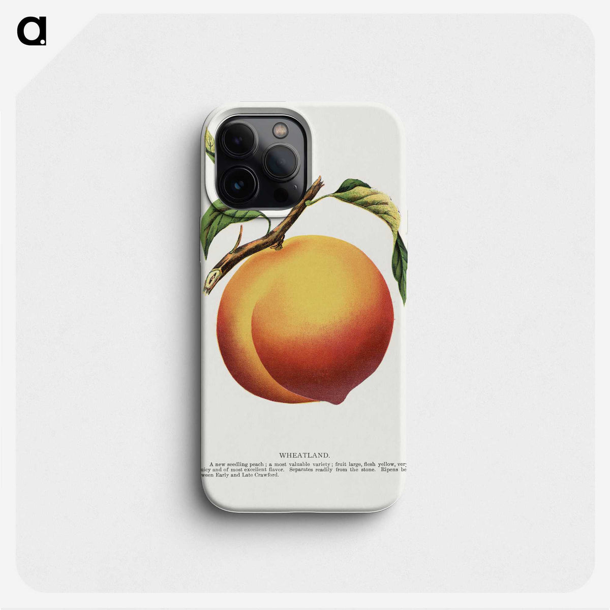 1-39_Botanical-Specimen-Plates_phone