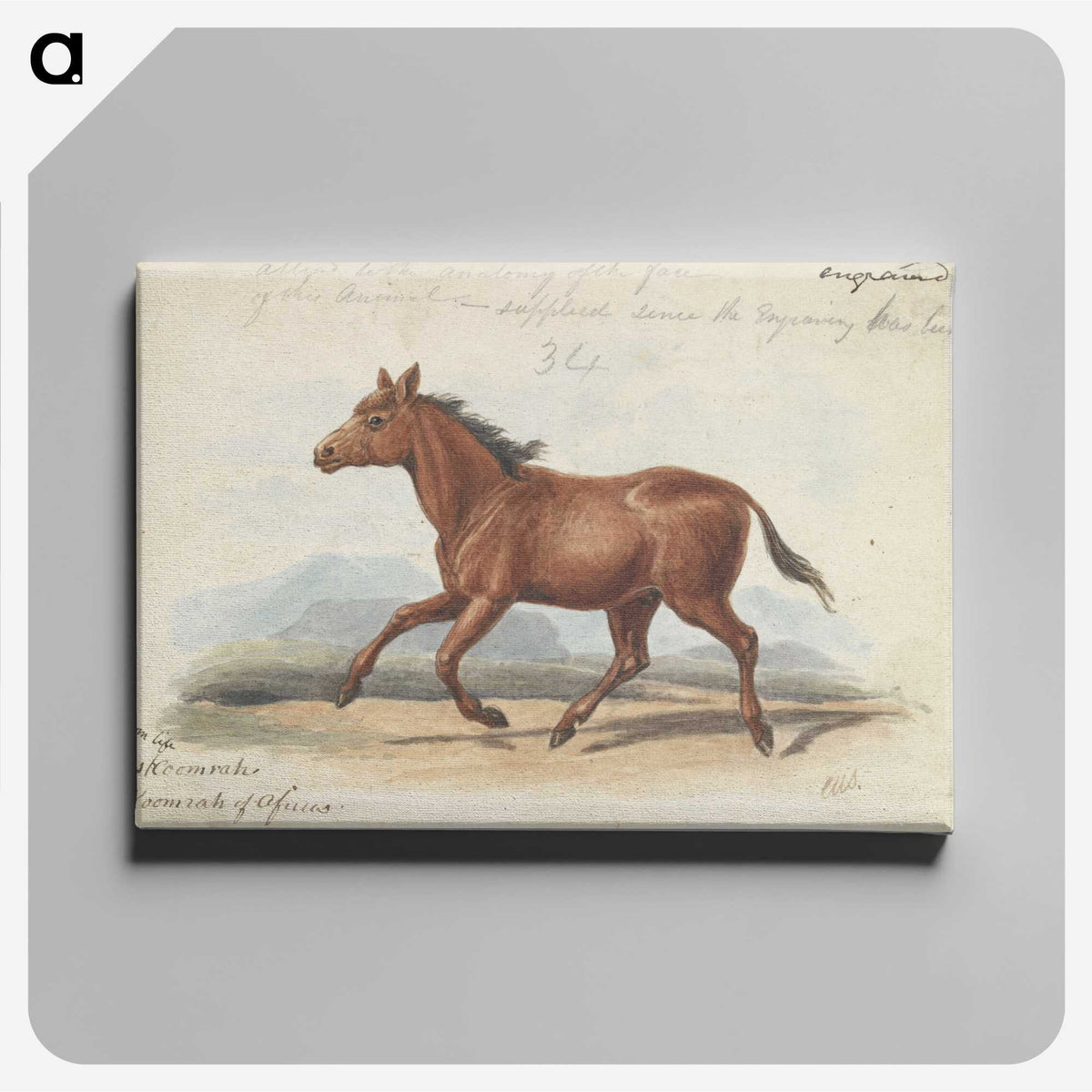 1-39_Charles-Hamilton-Smith_canvas