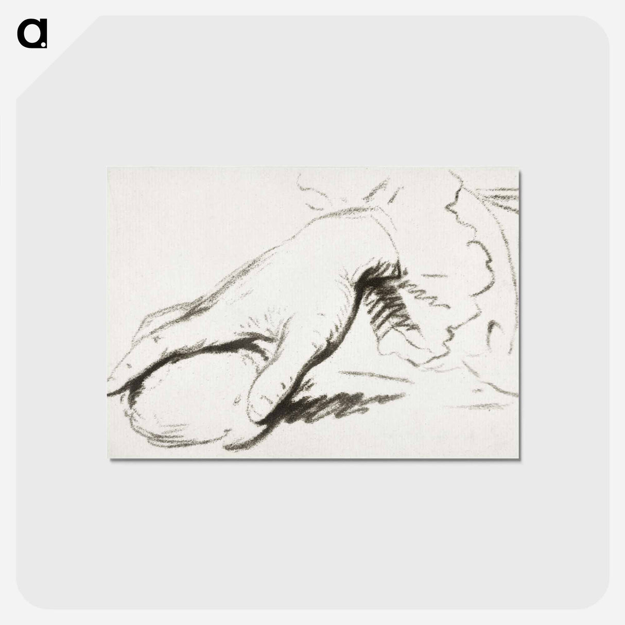 アートポストカード-Hand met rond voorwerp
- コルネリス プロース ファン アムステル Postcard.