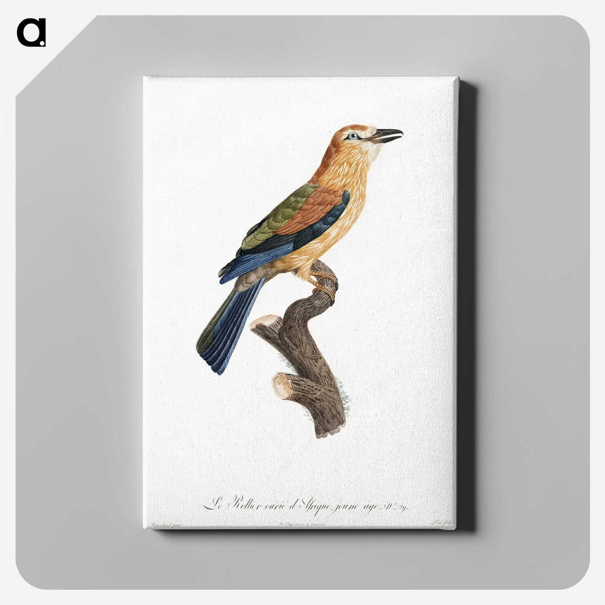 1-39_Des-Oiseaux-de-Paradis_canvas