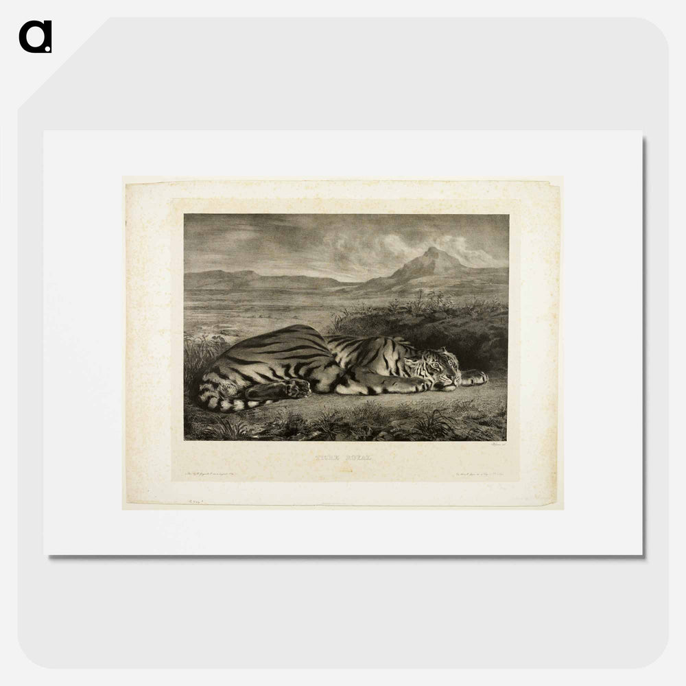 Bengal Tiger - ウジェーヌ ドラクロワ Poster.