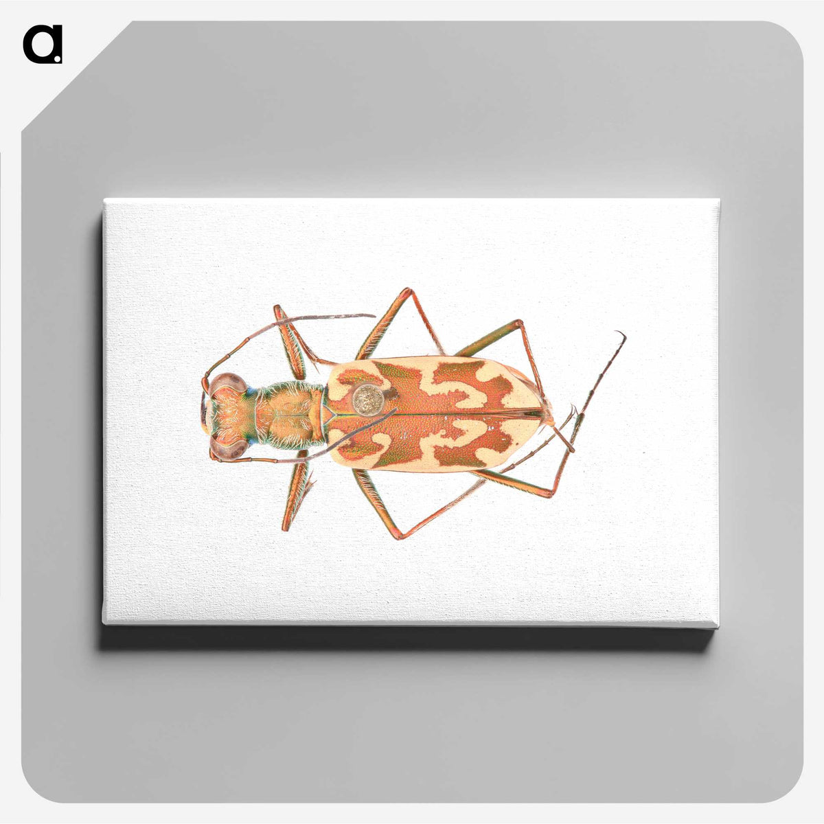 1-39_Insects-Unlocked-Project_canvas