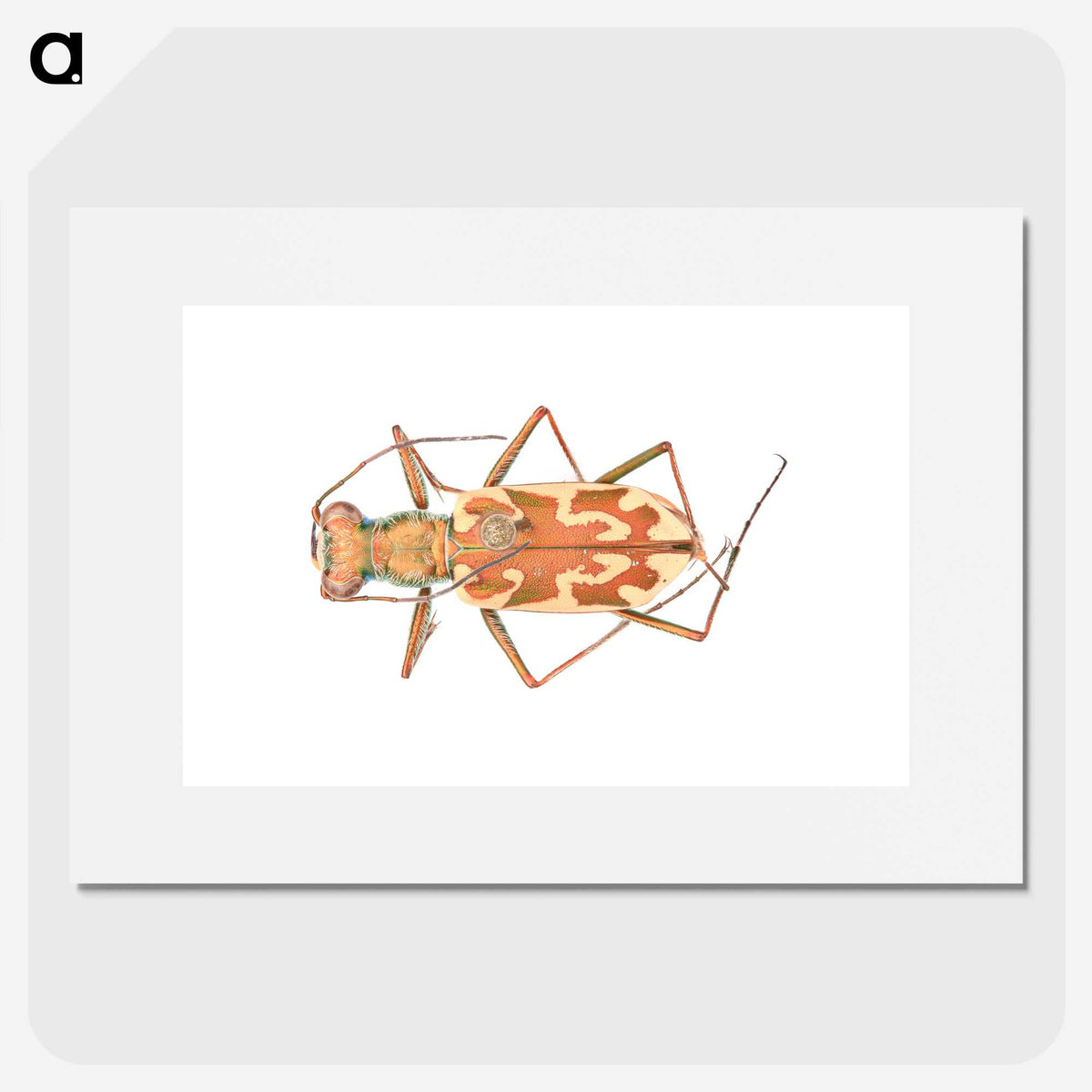 1-39_Insects-Unlocked-Project_picture
