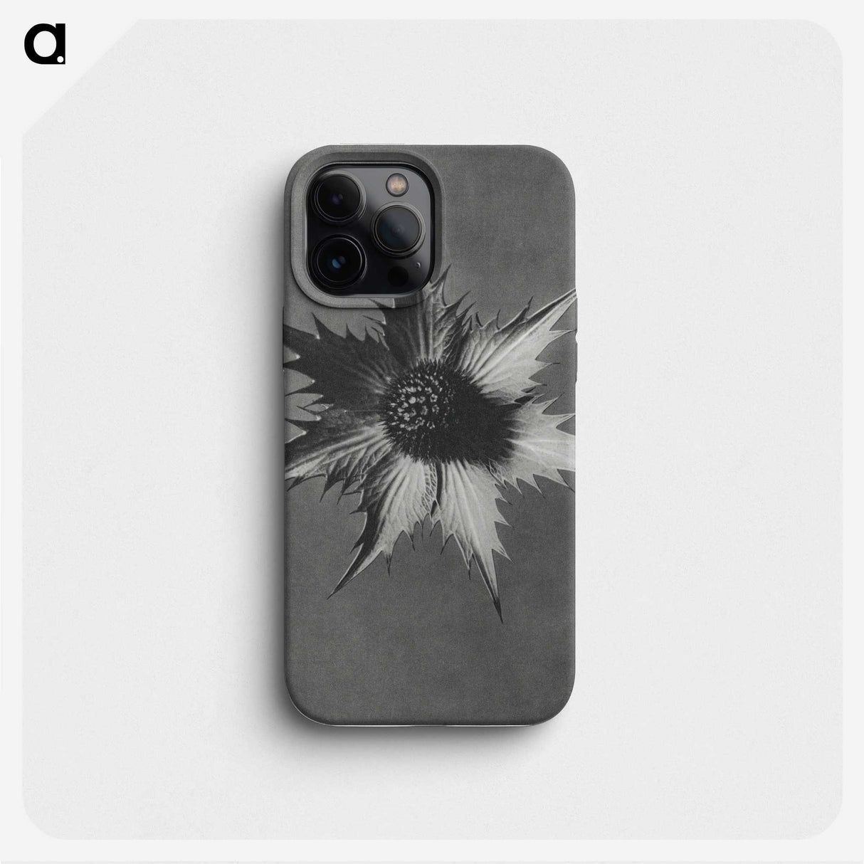 1-39_Karl-Blossfeldt_phone