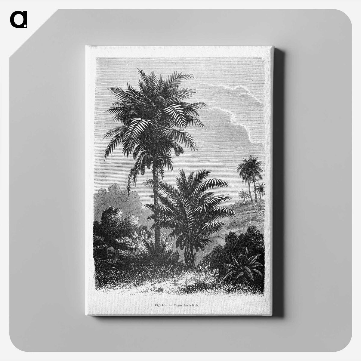 1-39_Les-Palmiers-Histoire-Iconographique_canvas