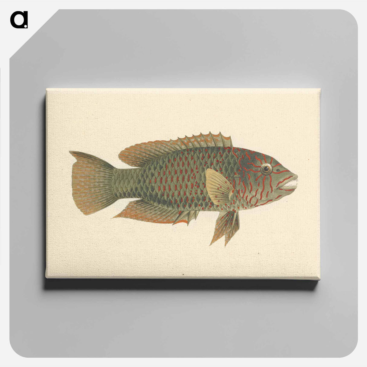 アートパネル-Unidentified Fish
- ルイージ バルガーニ Canvas.