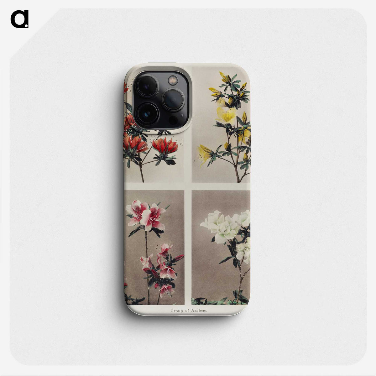 1-39_Ogawa-Kazumasa_phone
