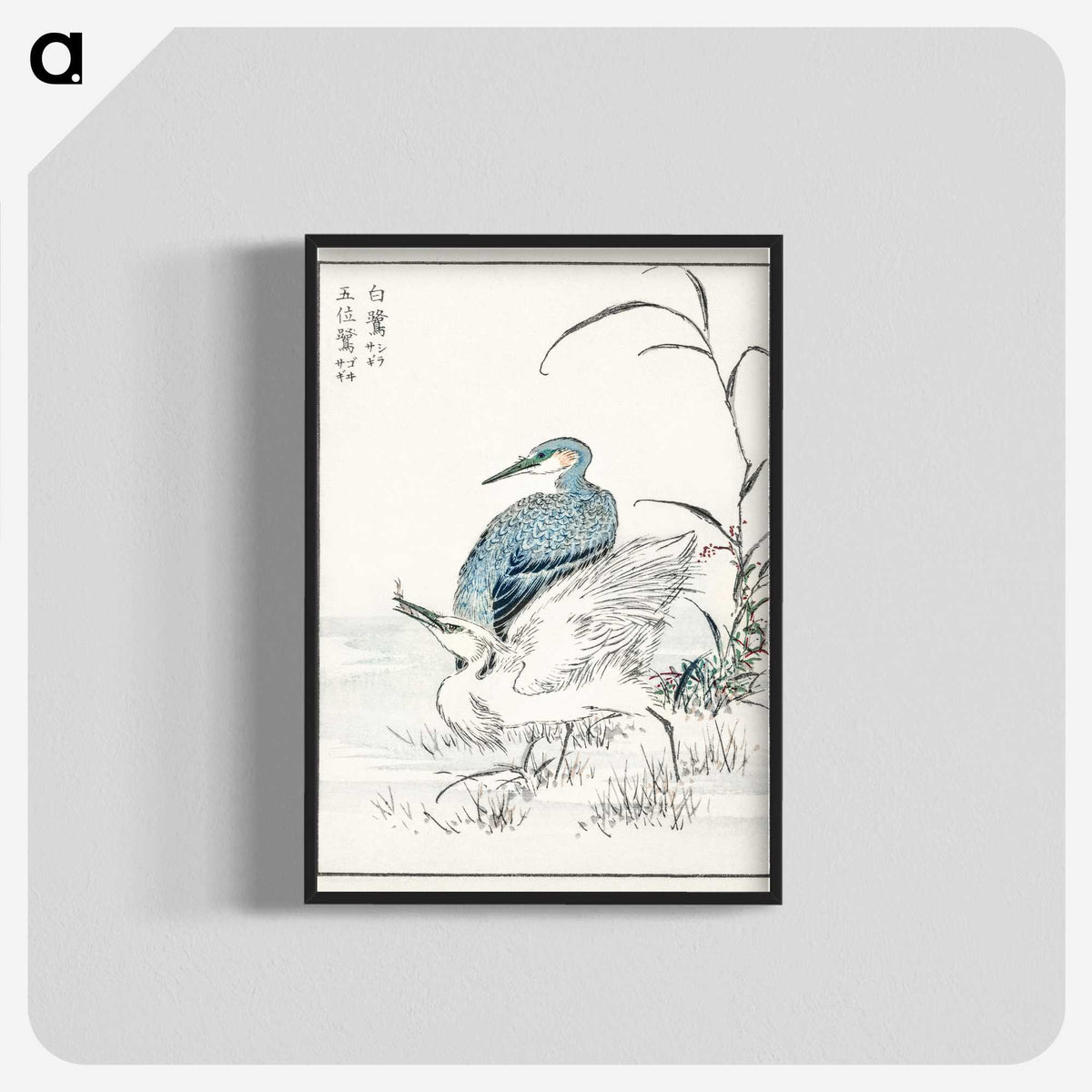 1-39_Pictorial-Monograph-of-Birds_blk-crop