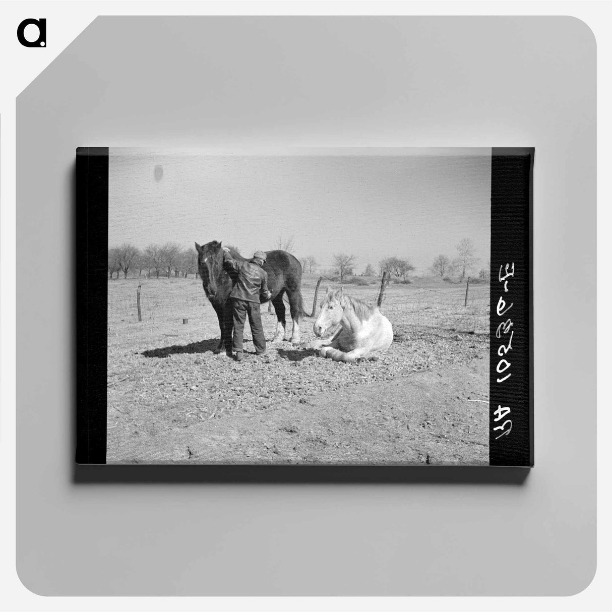 アートパネル-Sign, Taylor, Texas
- ラッセル リー Canvas.