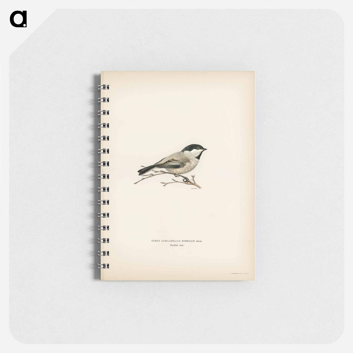 アートメモ帳-Black-Capped Chickadee
- スヴェンスカ フォグラル Memo.