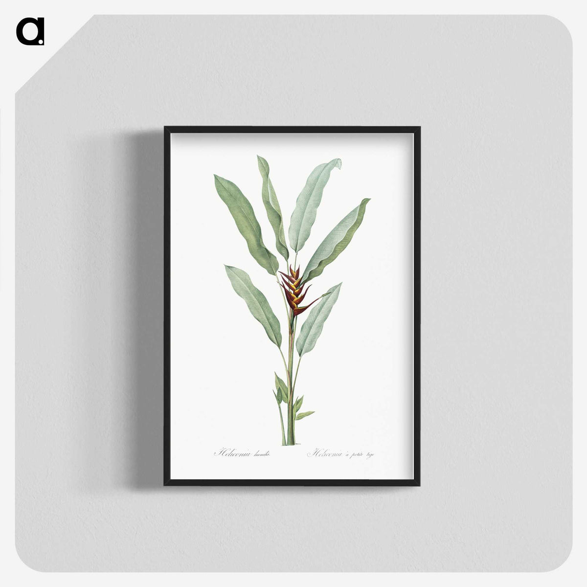 1-39_The-Lilies_blk-crop