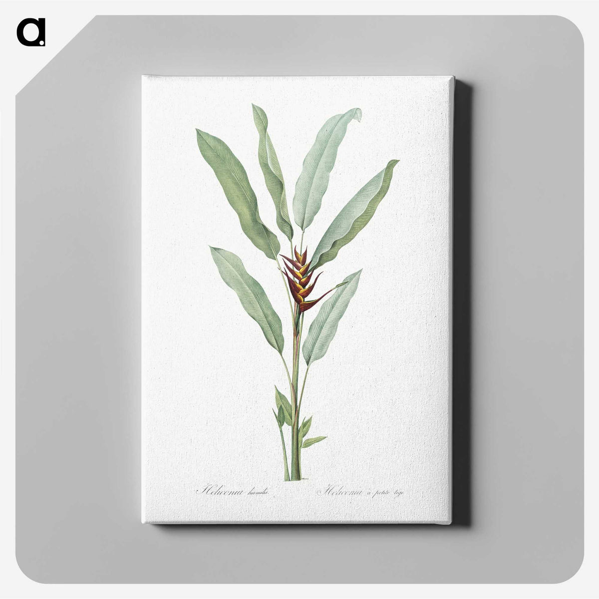 1-39_The-Lilies_canvas