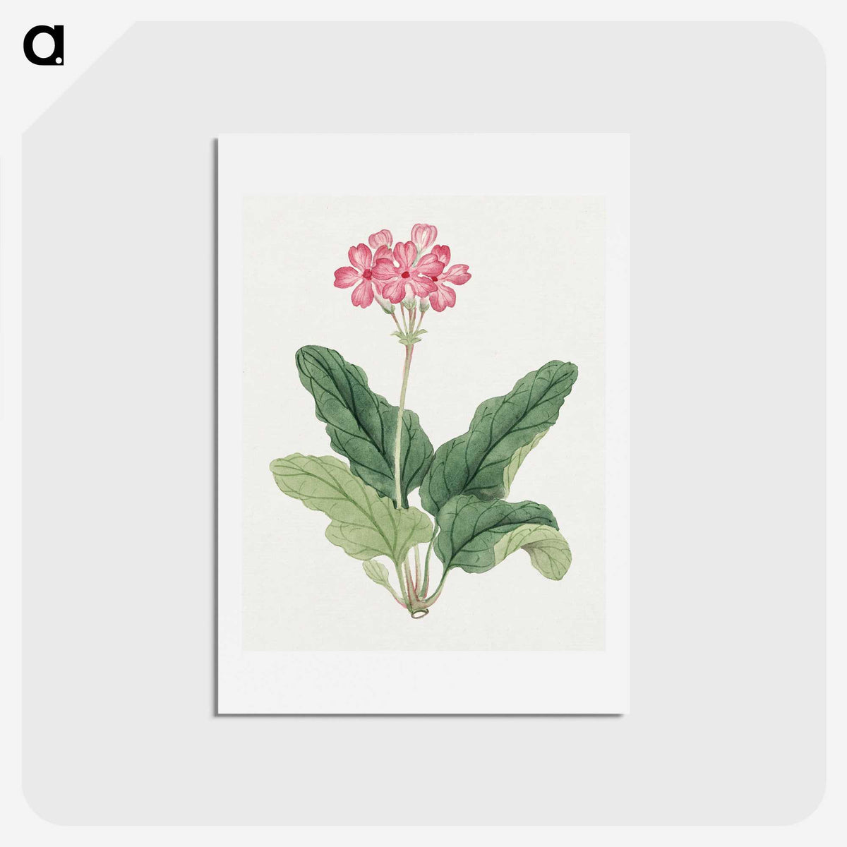 1-3_19th-Century-Japanese-Flowers_hagaki