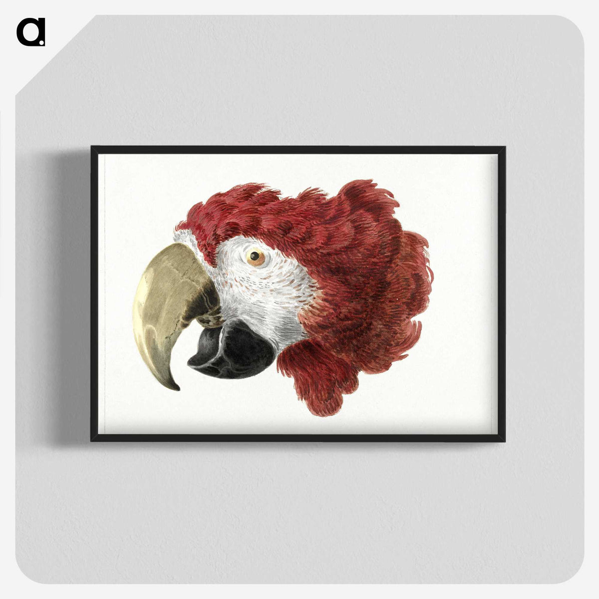 1-3_Aert-Schouman_blk-crop