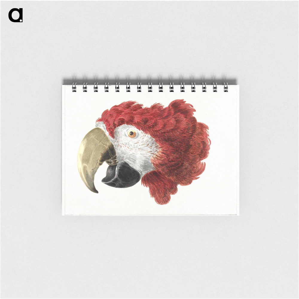 Head of a Macaw - アールト シューマン Memo.