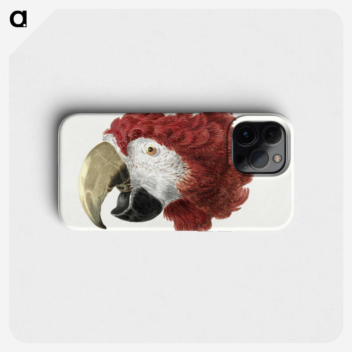 1-3_Aert-Schouman_phone
