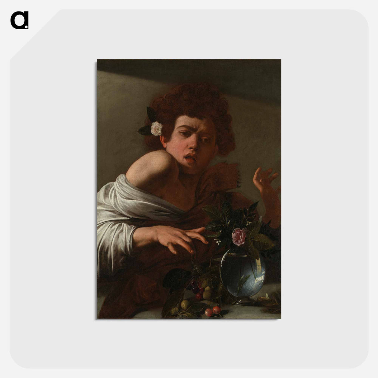 アートポストカード-Boy Bitten by a Lizard - カラヴァッジョ Postcard.