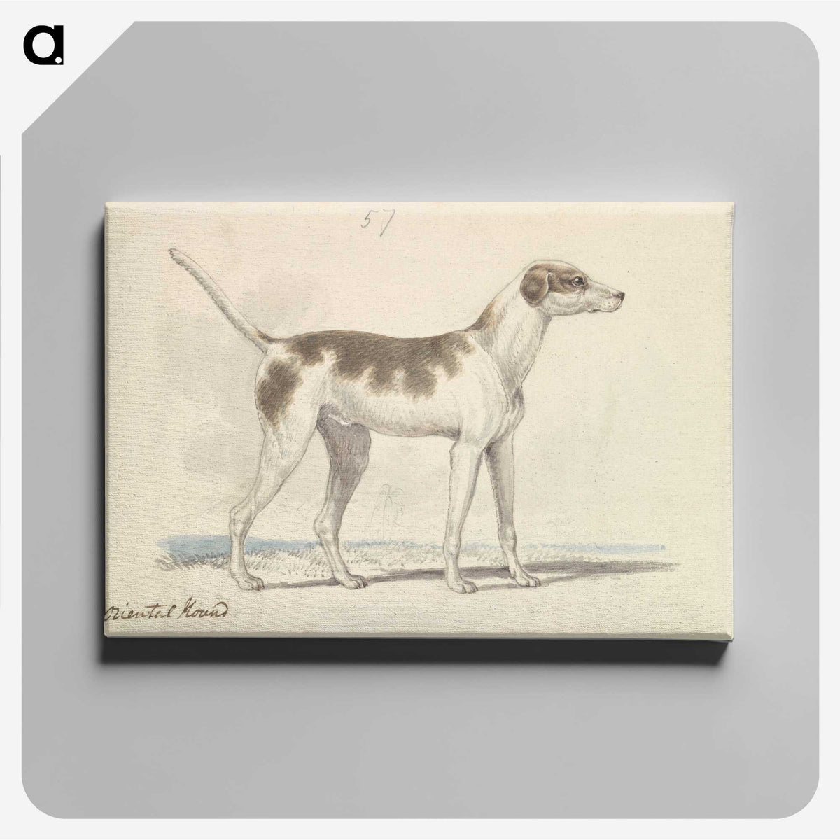 1-3_Charles-Hamilton-Smith_canvas