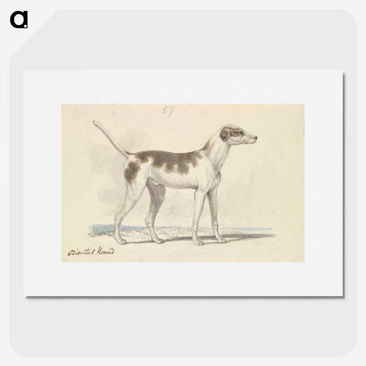 1-3_Charles-Hamilton-Smith_picture