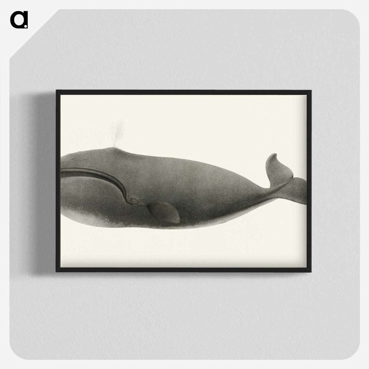 1-3_Charles-Melville-Scammon_blk-crop