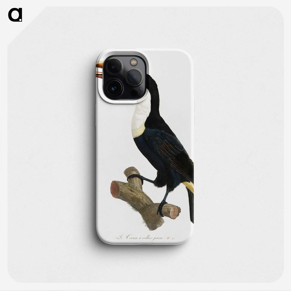 1-3_Des-Oiseaux-de-Paradis_phone