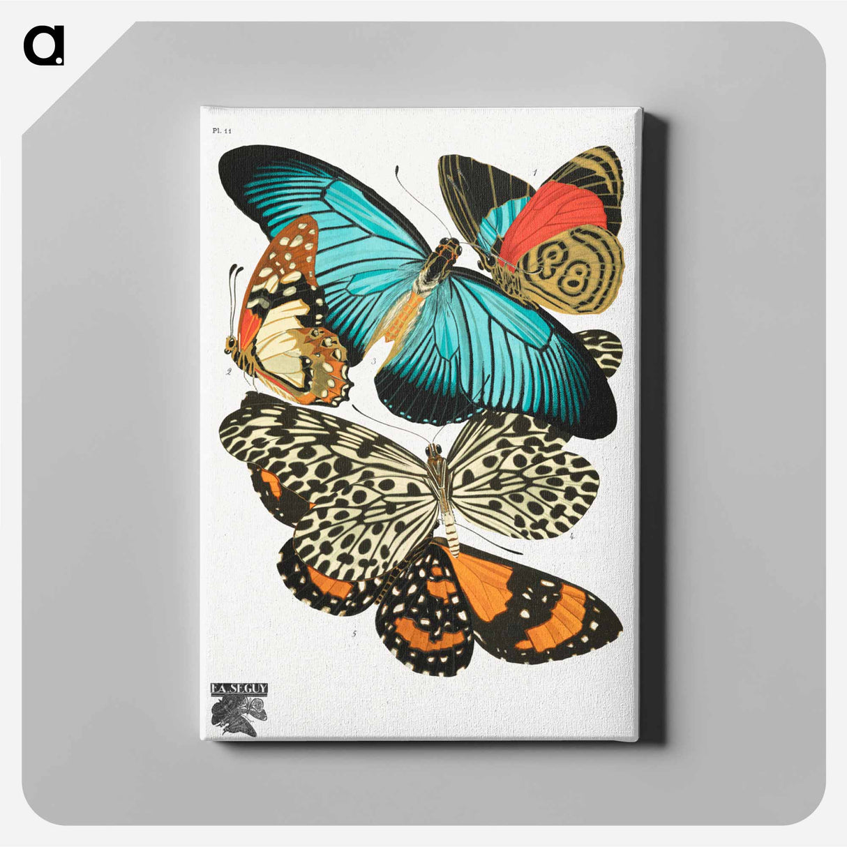 E.A. Séguy's vintage butterflies - E.A.セギー Canvas.