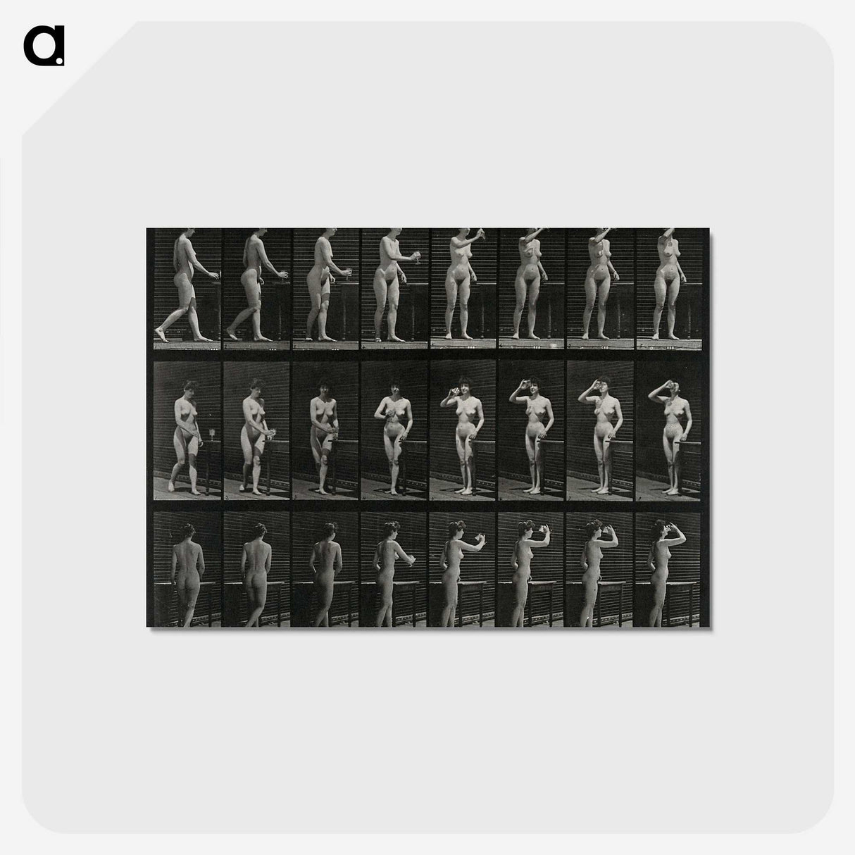 1-3_Eadweard-Muybridge_postcard