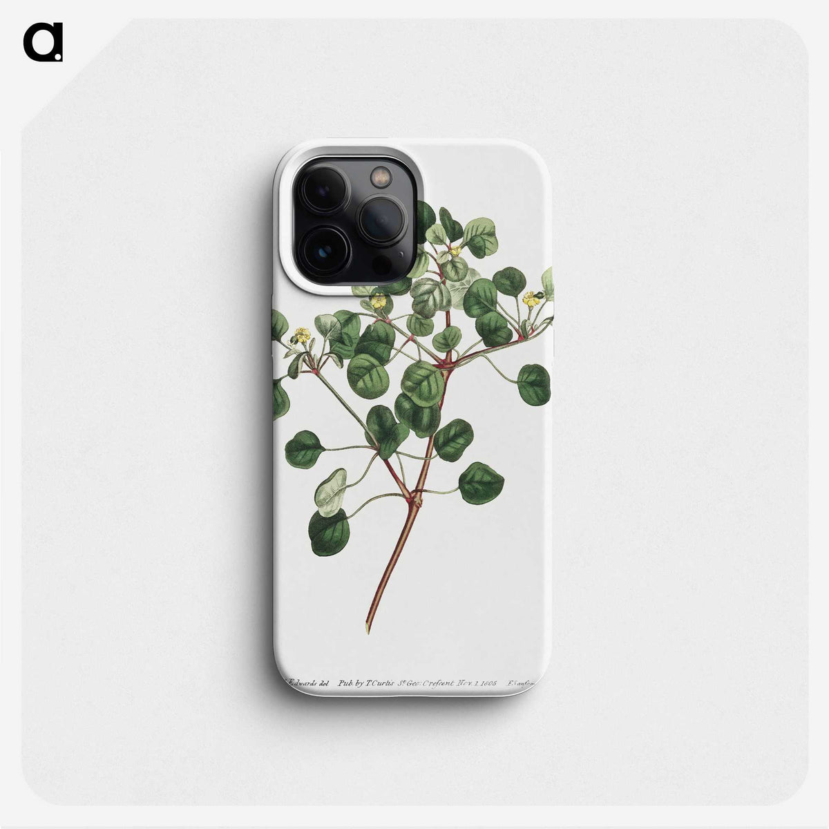1-3_Fransis-Sansom_phone