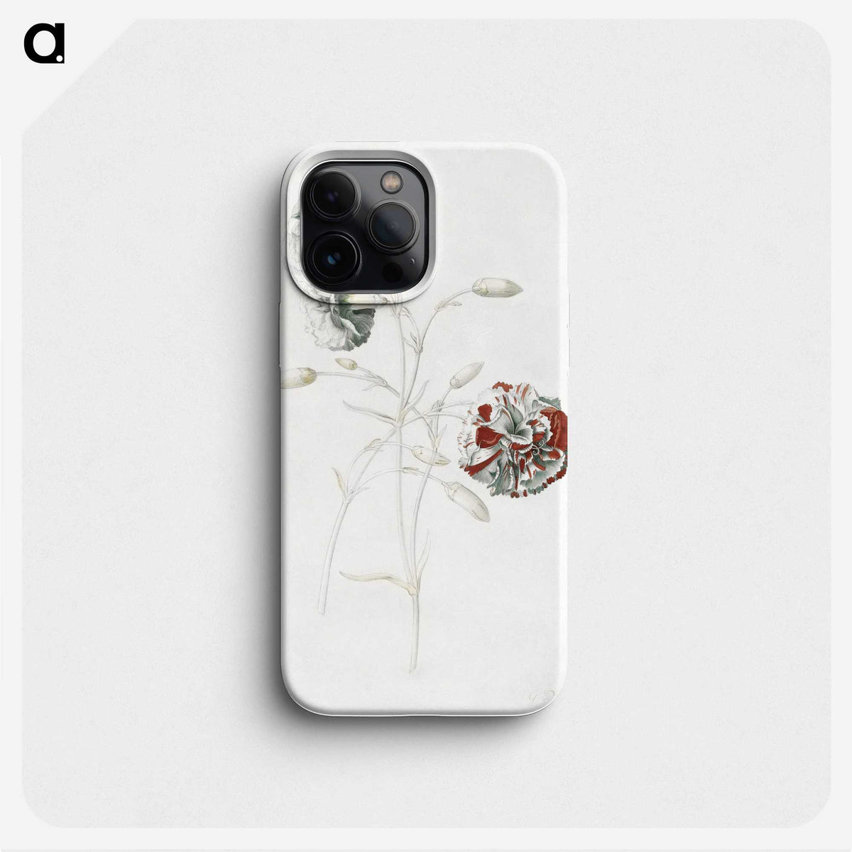1-3_Georg-Dionysius-Ehret_phone