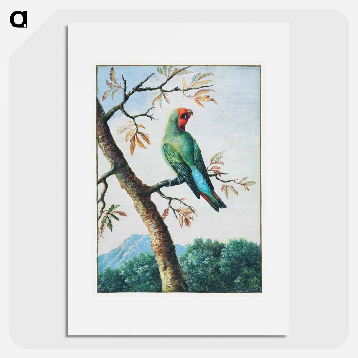 アートポスター-Bird Study
- ジョージ エドワーズ Poster.
