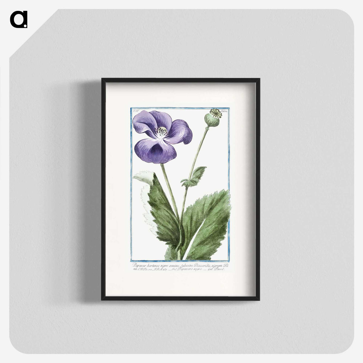 1-3_Hortus-Romanus-Botanical-Plates_blk