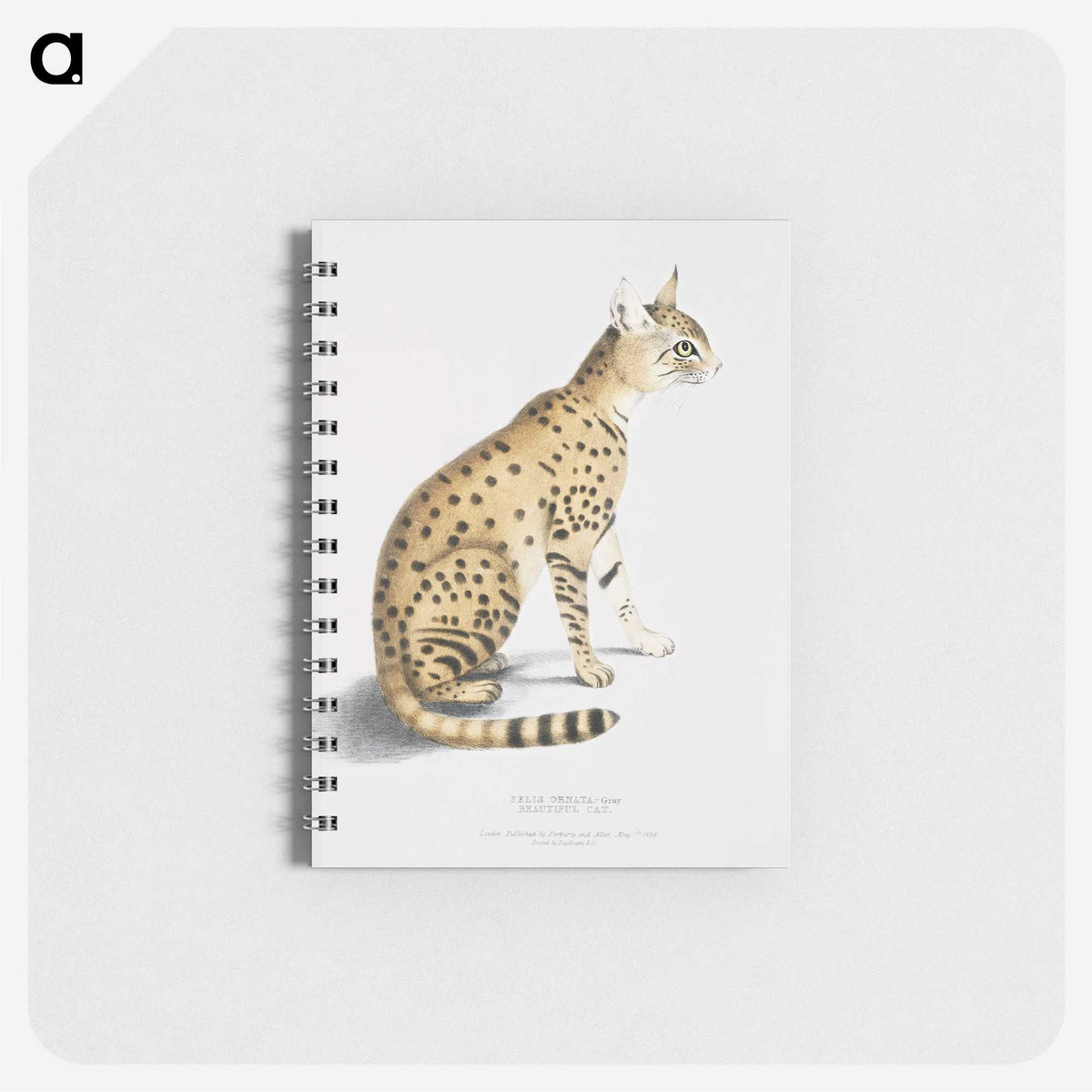 1-3_Indian-Zoology_memo