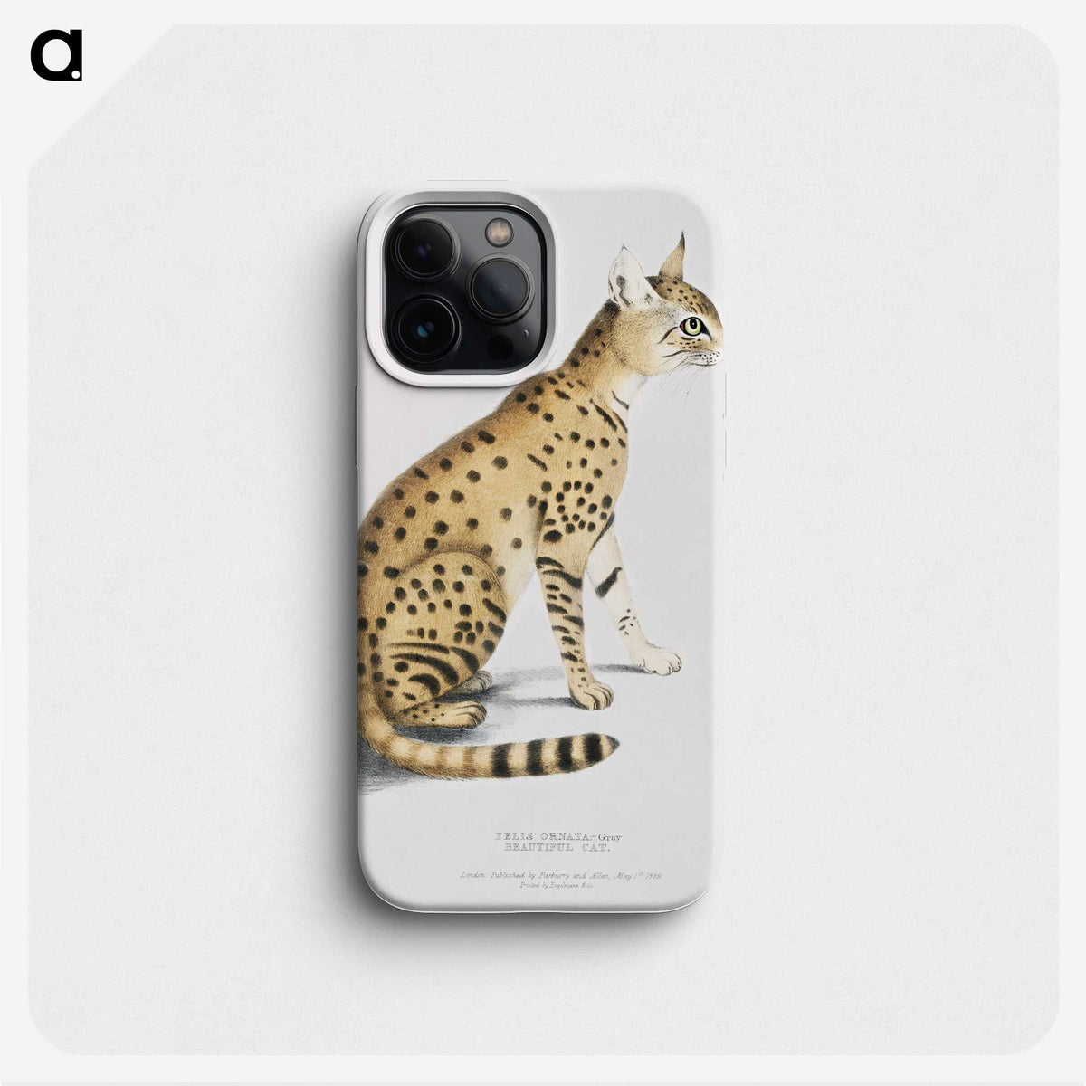 1-3_Indian-Zoology_phone