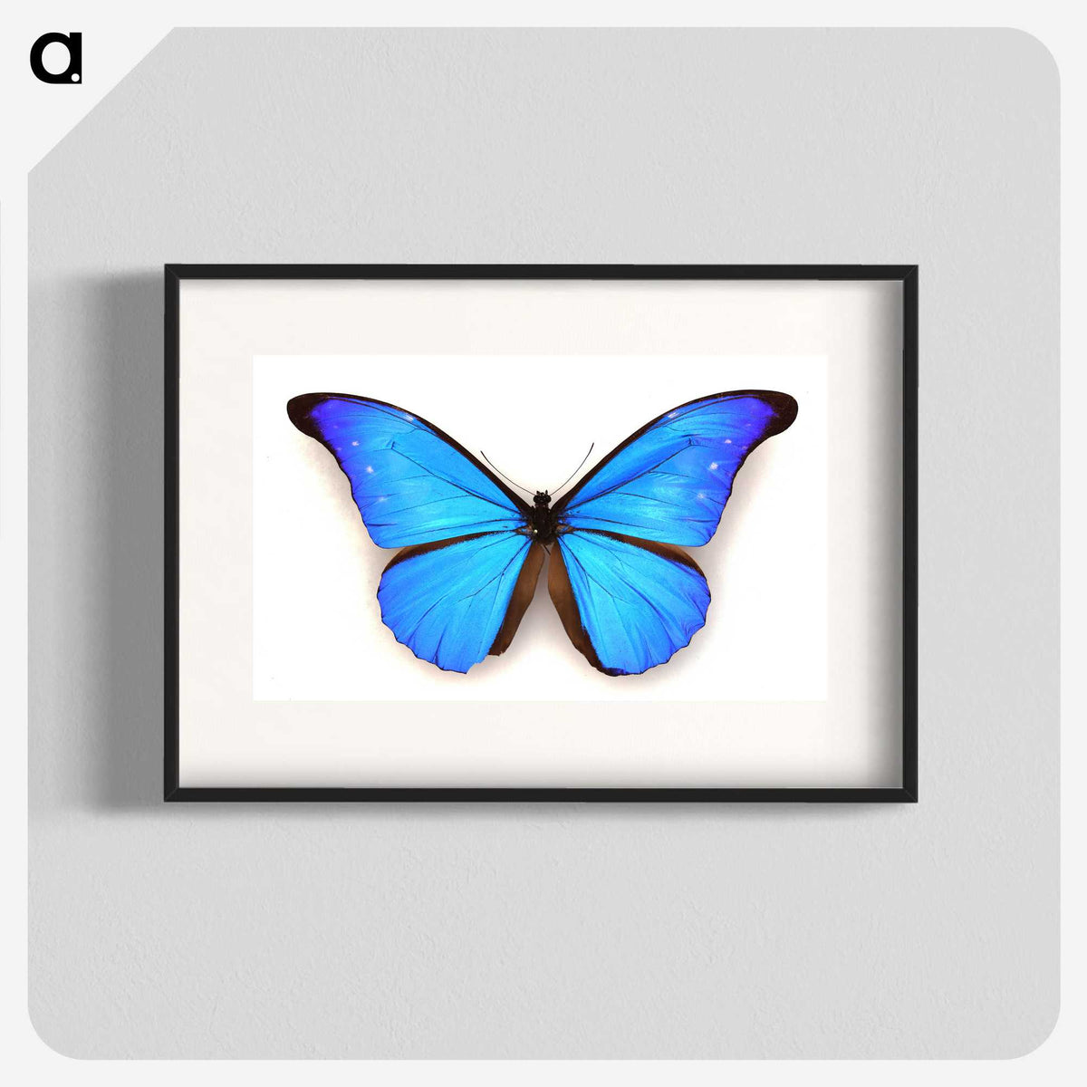 1-3_Insects-Unlocked-Project_blk