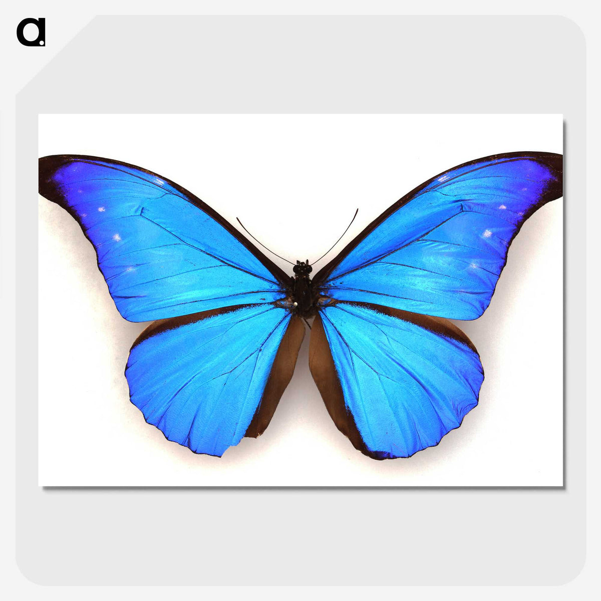 1-3_Insects-Unlocked-Project_picture-crop