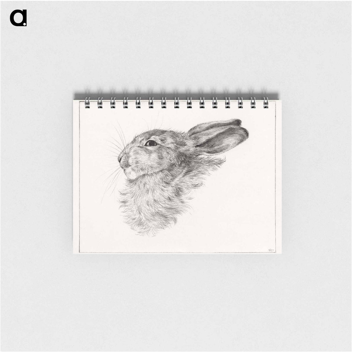 Head of a rabbit - ジャン ベルナール Memo.