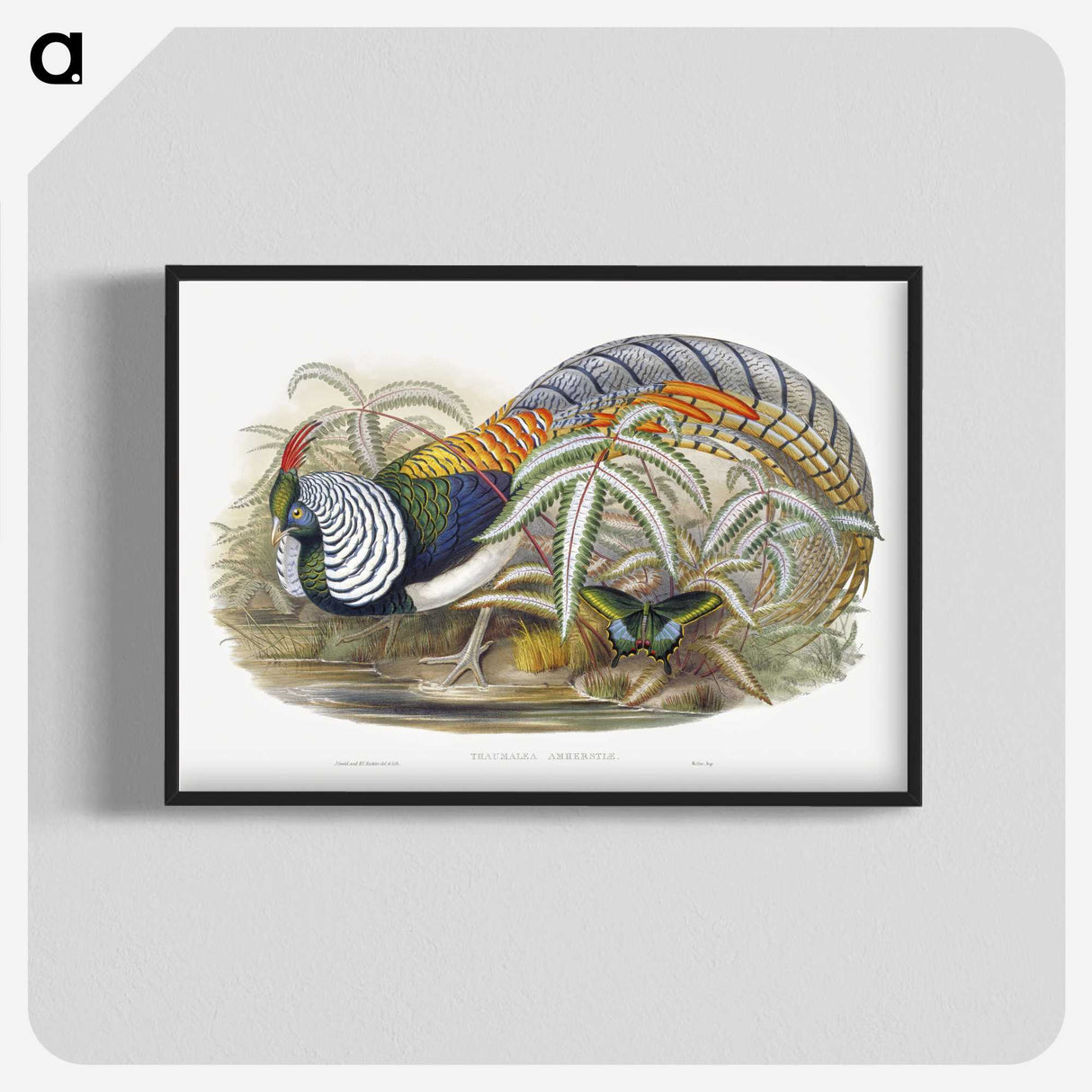 1-3_John-Gould_blk-crop