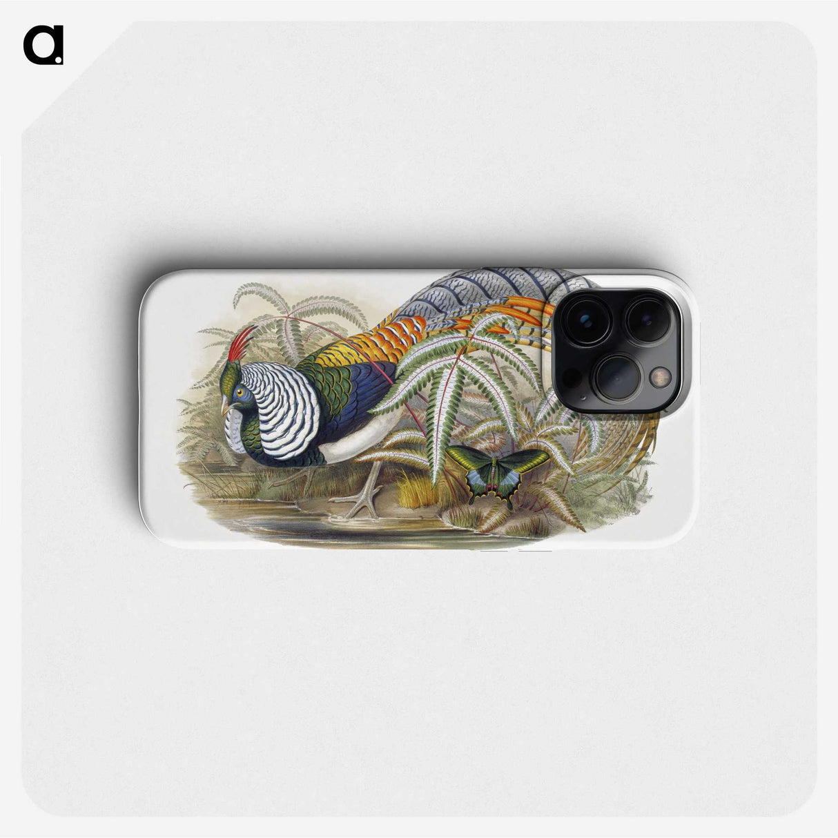 1-3_John-Gould_phone