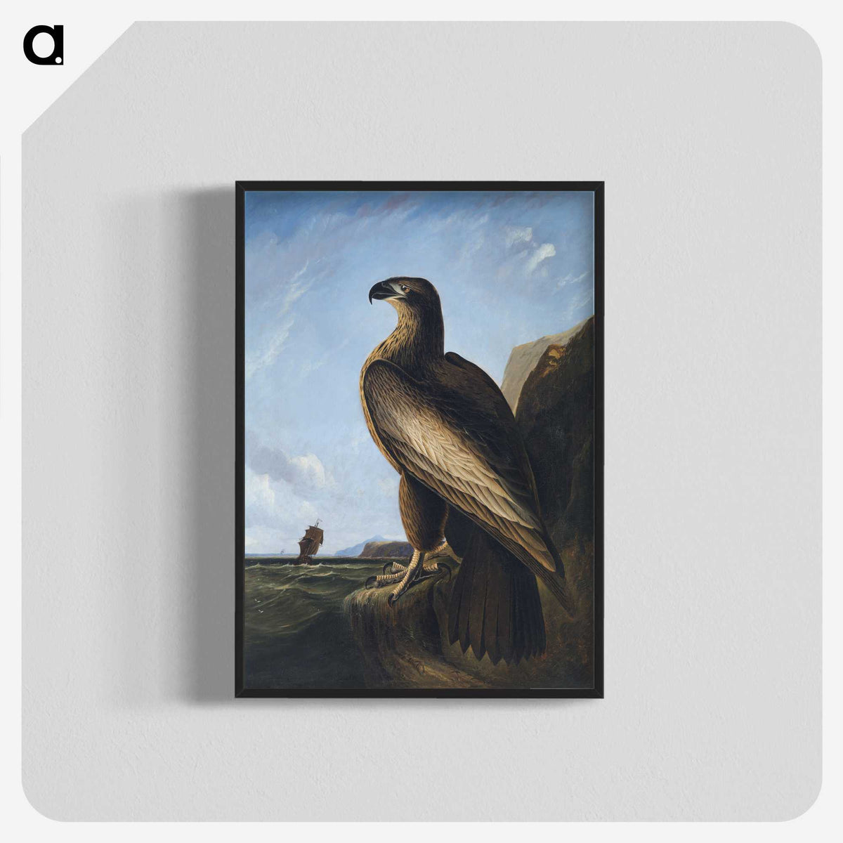 1-3_John-James-Audubon_blk-crop