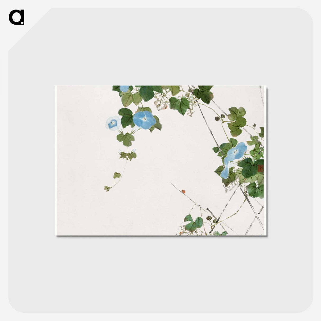 Insects and Flowers
- ジュ リアン Postcard.