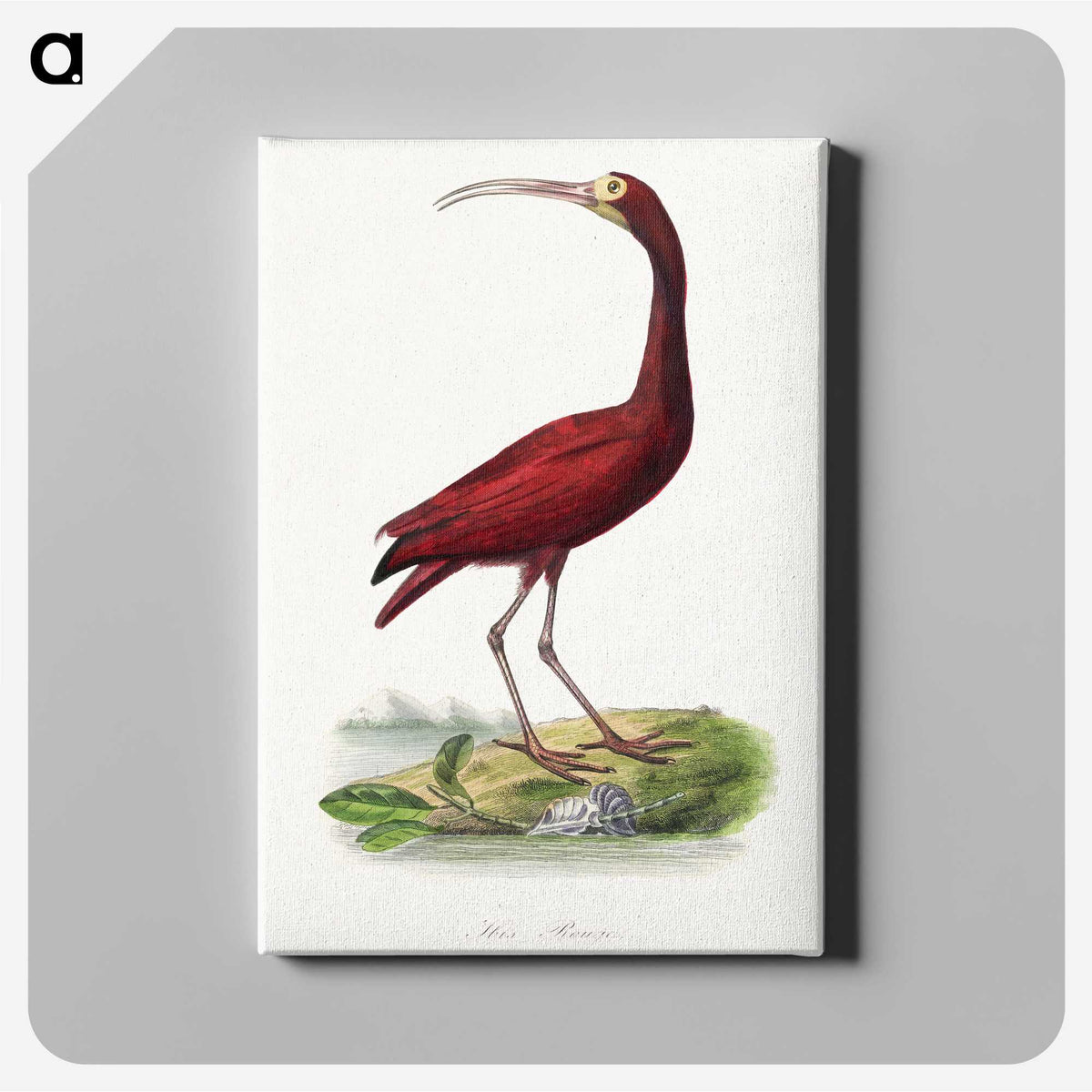 1-3_Le-Jardin-des-Plantes_canvas