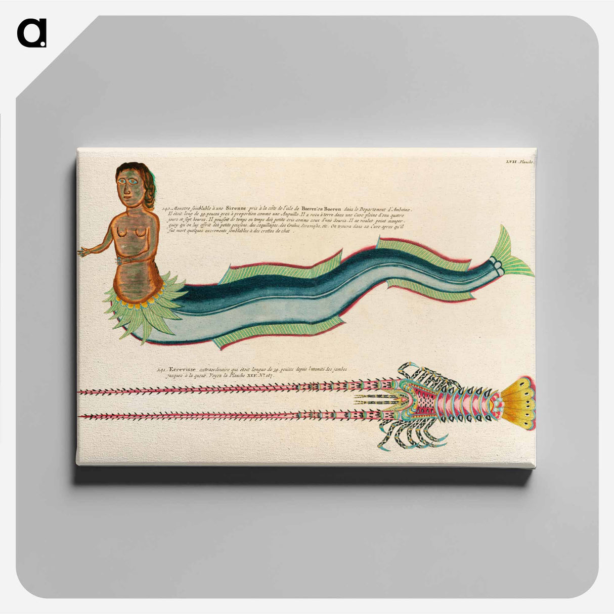 アートパネル-Moluccan Siren and Lobster
- ルイ ルナール Canvas.