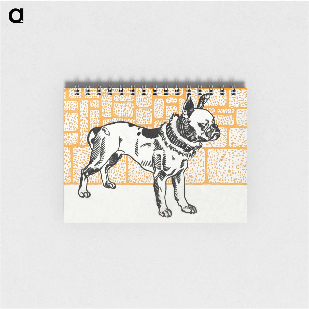 Pitbull Terrier - モリツ ユング Memo.