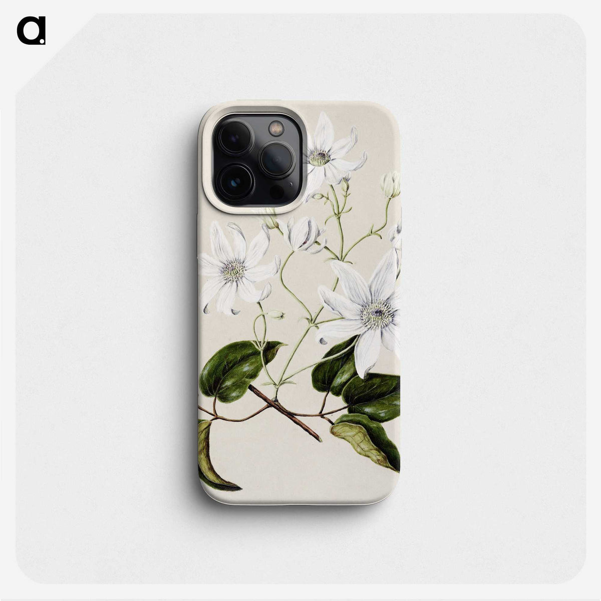 1-3_Native-Flowering-Plants-of-New-Zealand_phone