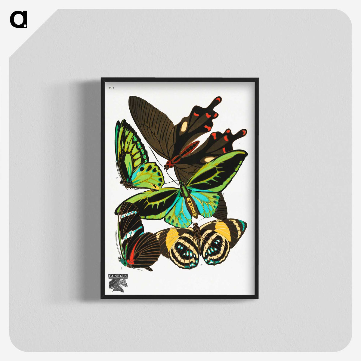 1-3_Papillons_blk-crop